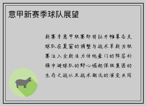 意甲新赛季球队展望
