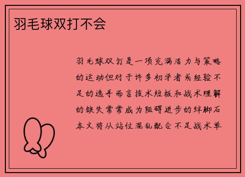 羽毛球双打不会